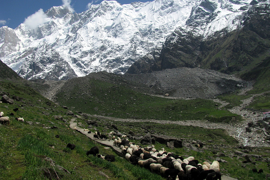 Kedarnath Wildlife Sanctuary