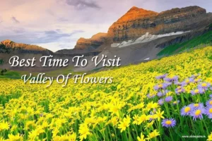 best time to visit valley of flowers